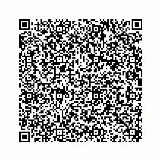 vCard 73913329313
