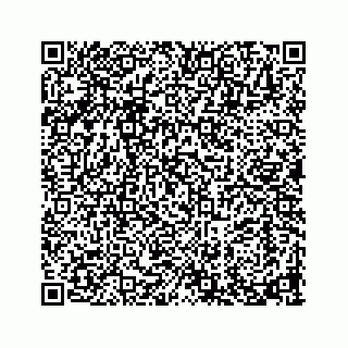 vCard 73913329314