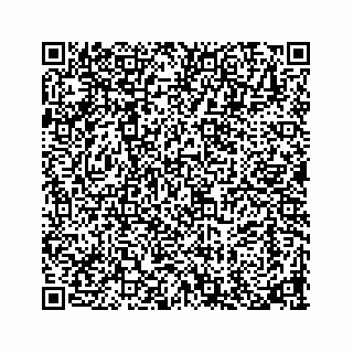 vCard 73913329317