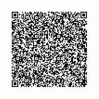 vCard 73913329329