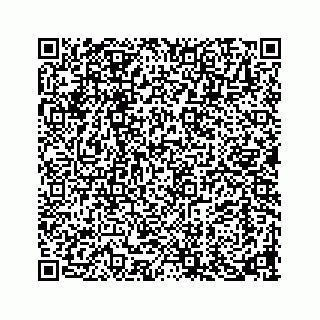 vCard 73913329331