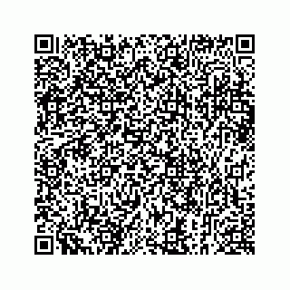 vCard 73913329332