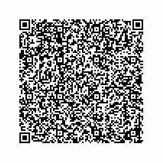 vCard 73913329335