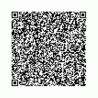 vCard 73913329337
