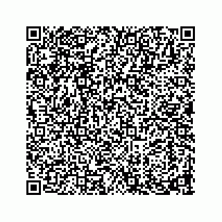 vCard 73913329338