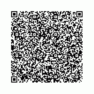 vCard 73913329339