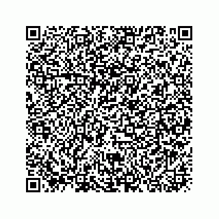 vCard 73913329342