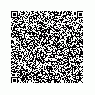 vCard 73913329345