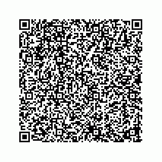 vCard 73913329346