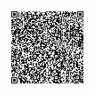 vCard 73913329347