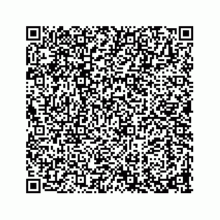 vCard 73913329349