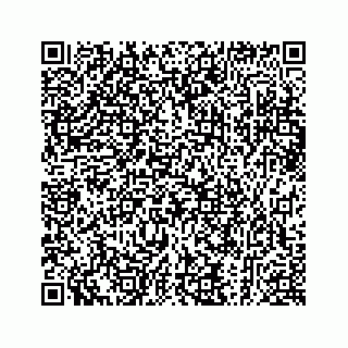 vCard 73913329353