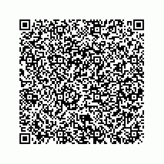vCard 73913329355