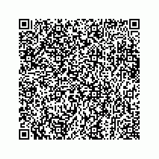 vCard 73913329359