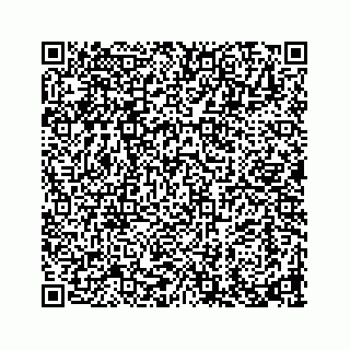 vCard 73913329375