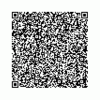 vCard 73913329381