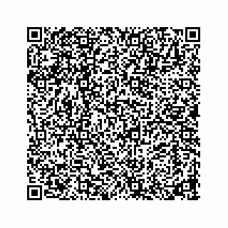 vCard 73913329387
