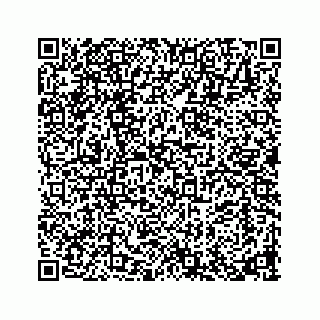 vCard 73913329397
