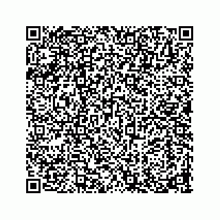 vCard 73913329410