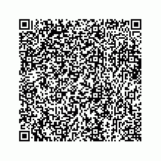 vCard 73913329413