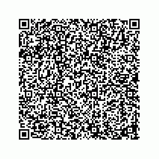 vCard 73913329417