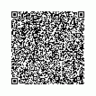vCard 73913329418