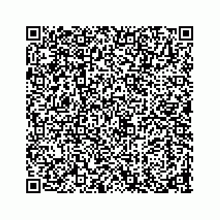 vCard 73913329419