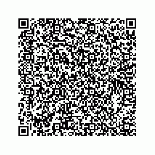vCard 73913333132
