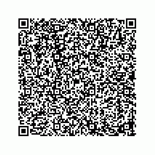 vCard 73913335132