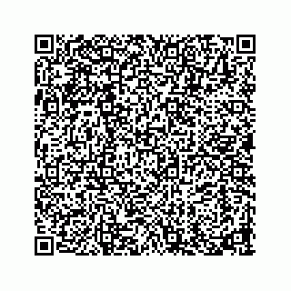 vCard 73913335179