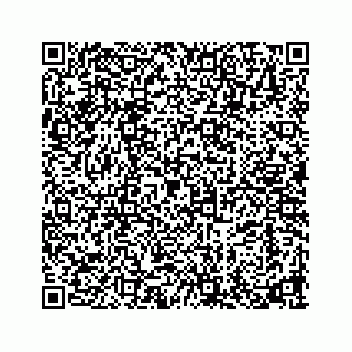 vCard 73913335195