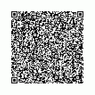 vCard 73913335270