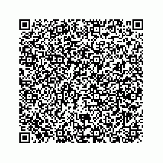 vCard 73913335272