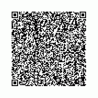 vCard 73913335276