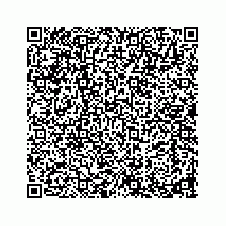 vCard 73913335297