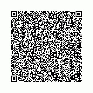 vCard 73913335300