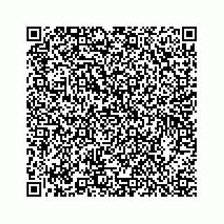 vCard 73913335332