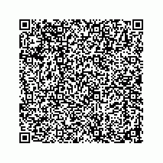 vCard 73913335336