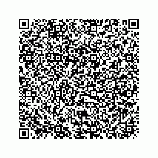 vCard 73913335354