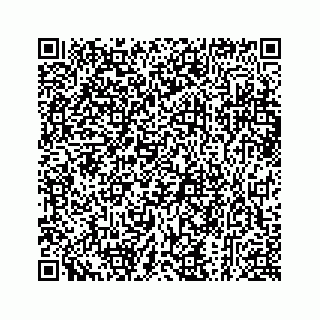 vCard 73913335373