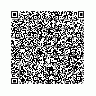 vCard 73913335381