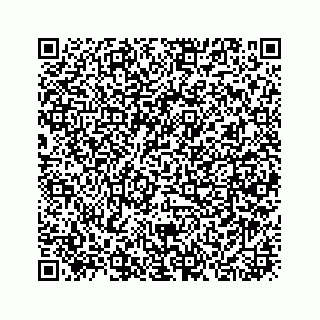 vCard 73913335389