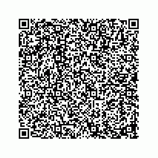 vCard 73913338112