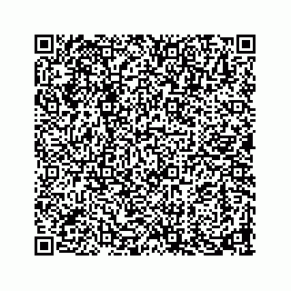 vCard 73913338134