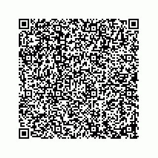 vCard 73913338151