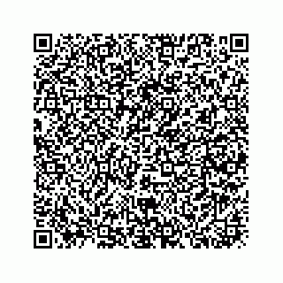 vCard 73913338158