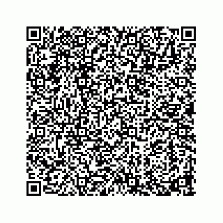 vCard 73913338247