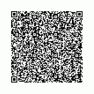 vCard 73913338295