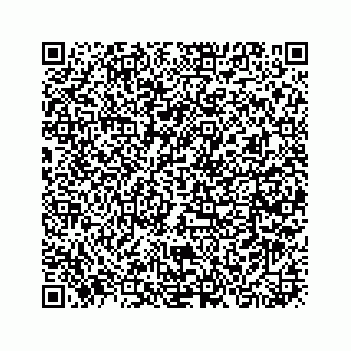 vCard 73913338321