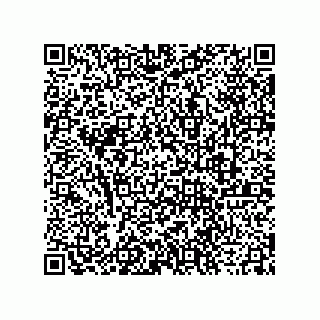 vCard 73913520041